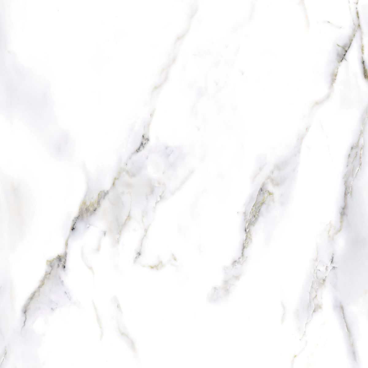 Detalle de la baldosa Carrara Brillante (1)
